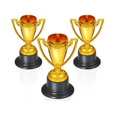 Antikvarinių amatų sporto apdovanojimo taurė